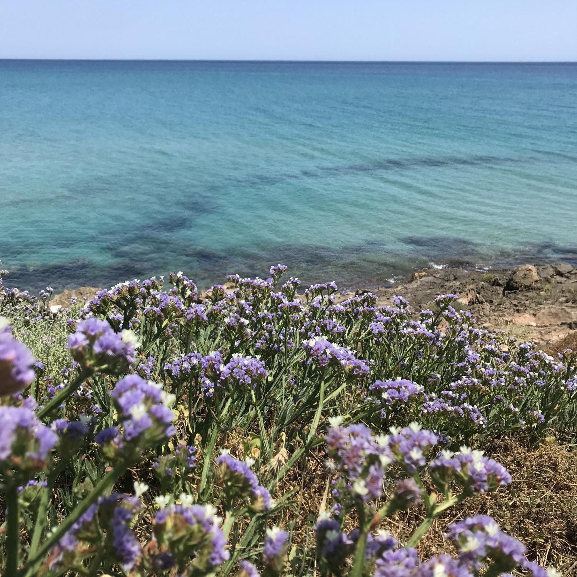 Casapiuholidaysicilia-Adults Only Noto Eksteriør bilde