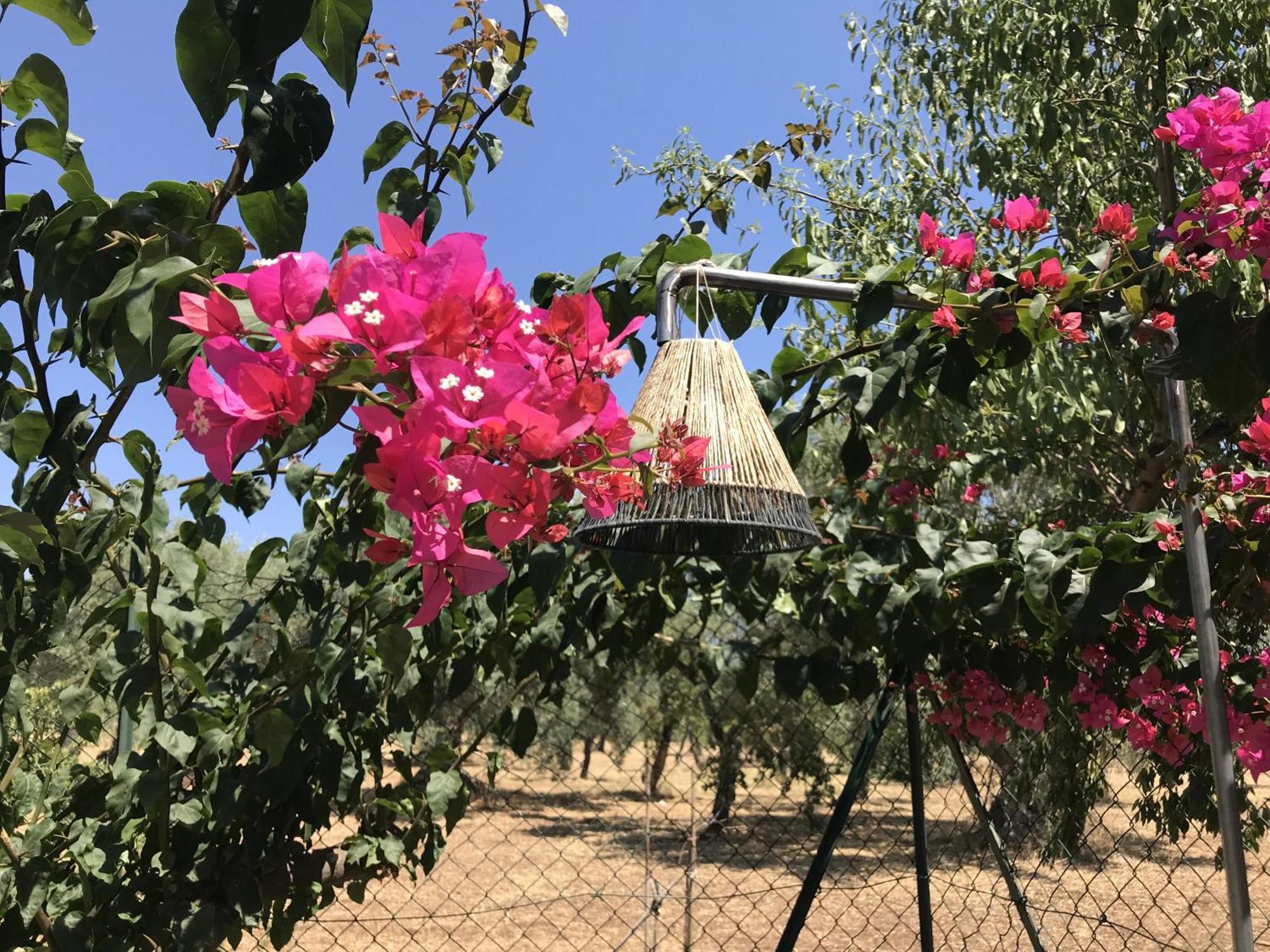 Casapiuholidaysicilia-Adults Only Noto Rom bilde